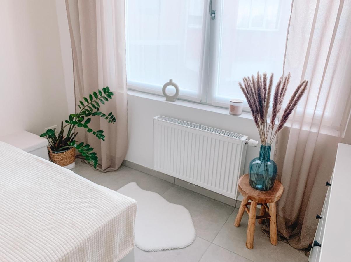 Apartament Vintage Dream Zwijndrecht Zewnętrze zdjęcie