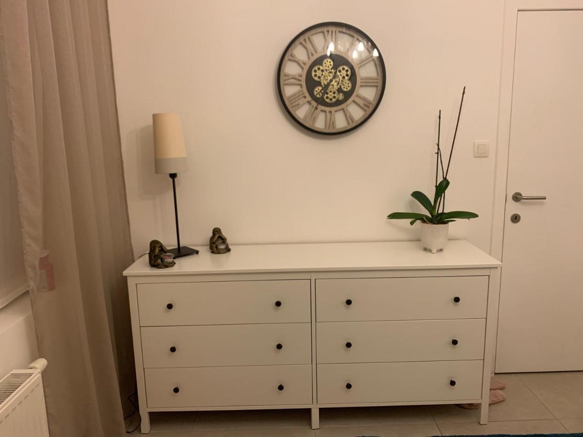 Apartament Vintage Dream Zwijndrecht Zewnętrze zdjęcie