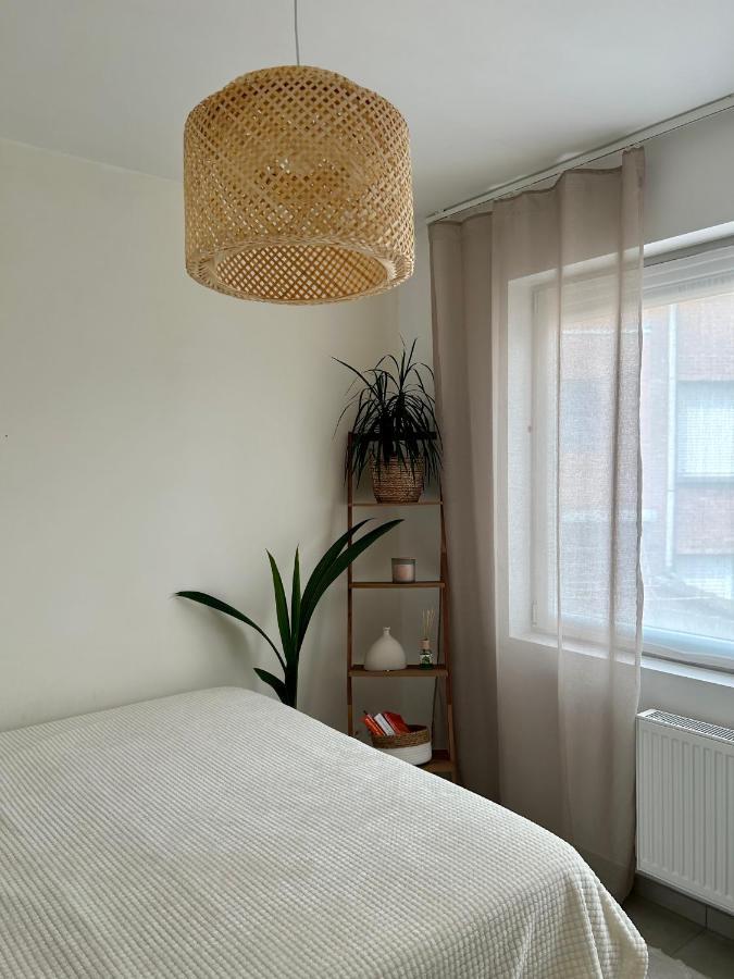 Apartament Vintage Dream Zwijndrecht Zewnętrze zdjęcie